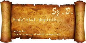 Szántai Dominik névjegykártya